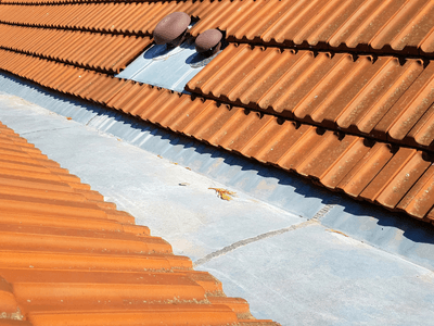 About Leaking Skylight Repair Pros Mosheim, TN